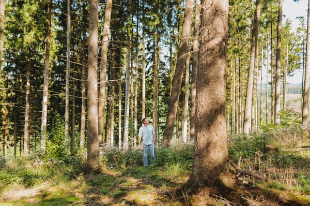 Unsere Wälder