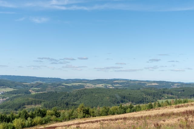 Erntebilanz 2026 – an echtem Klimaschutz geht kein Weg vorbei!